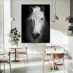 Large Wall Art White Horse Canvas Print