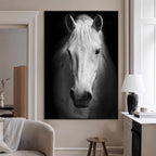 Large Wall Art White Horse Canvas Print