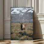 Wild Elk Wall Art Canvas Print, Framed Mountain Wilderness Majestic Animal Artwork