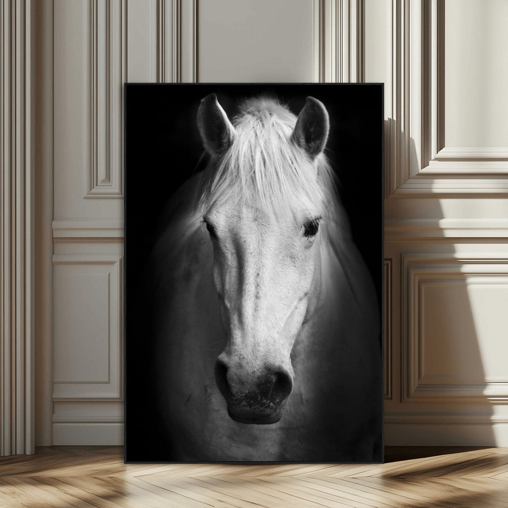 Large Wall Art White Horse Canvas Print