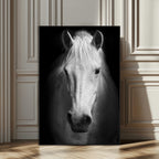 Large Wall Art White Horse Canvas Print