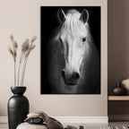 Large Wall Art White Horse Canvas Print