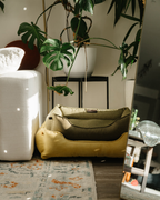 Chester & Lee | Cotton Sleeper Dog Bed Olive
