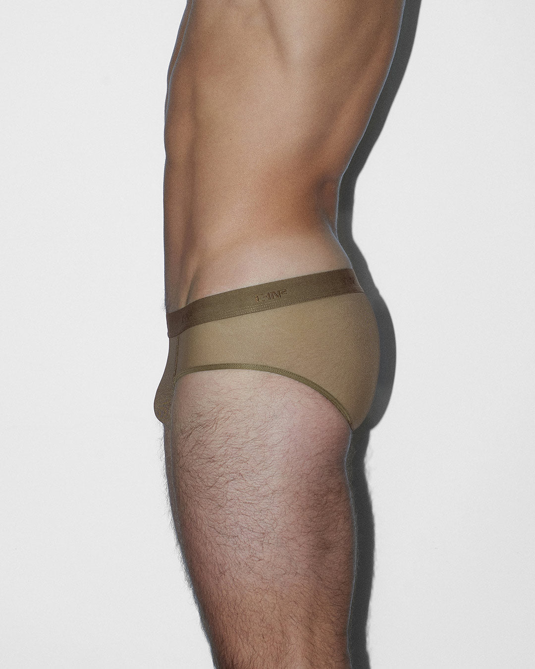 Sheer Low Rise Brief Dark Nude