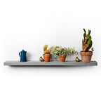 Sliced // Shelf