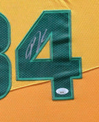 Framed Milwaukee Bucks Giannis Antetokounmpo Autographed Signed Jersey Jsa Coa