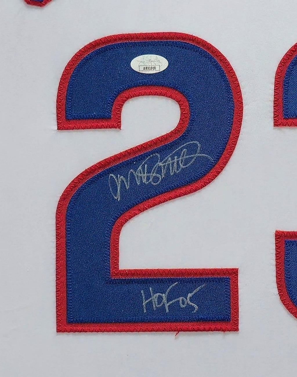 Suede Framed Chicago Cubs Ryne Sandberg Autographed Inscribed Jersey Jsa Coa
