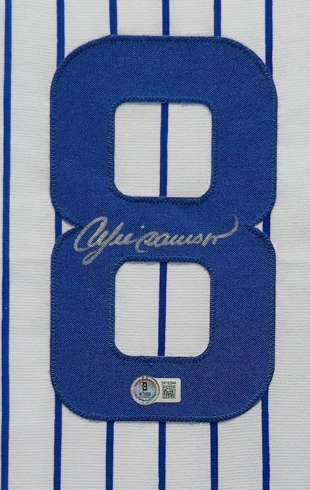 Framed Chicago Cubs Andre Dawson Autographed Signed Jersey Beckett Holo