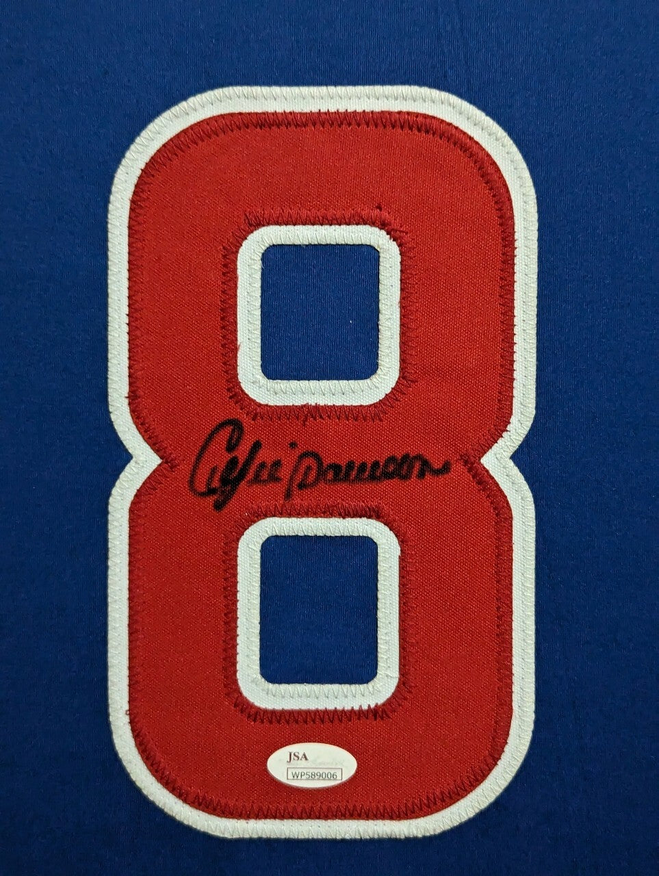 Framed Chicago Cubs Andre Dawson Autographed Signed Jersey Jsa Coa