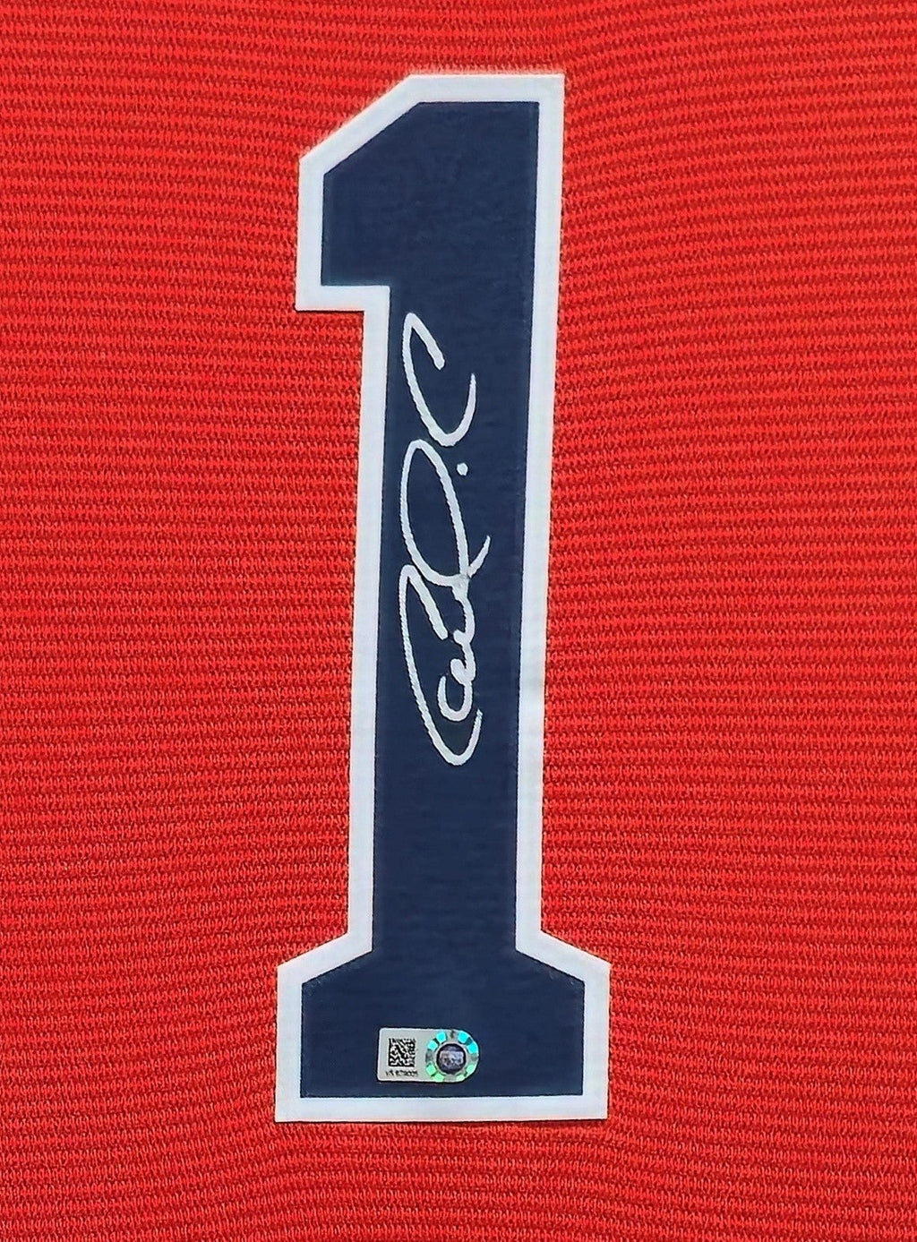 Suede Framed Houston Astros Carlos Correa Autographed Signed Jersey Mlb Holo