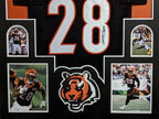 Framed Cincinnati Bengals Joe Mixon Autographed Jersey Jsa Coa