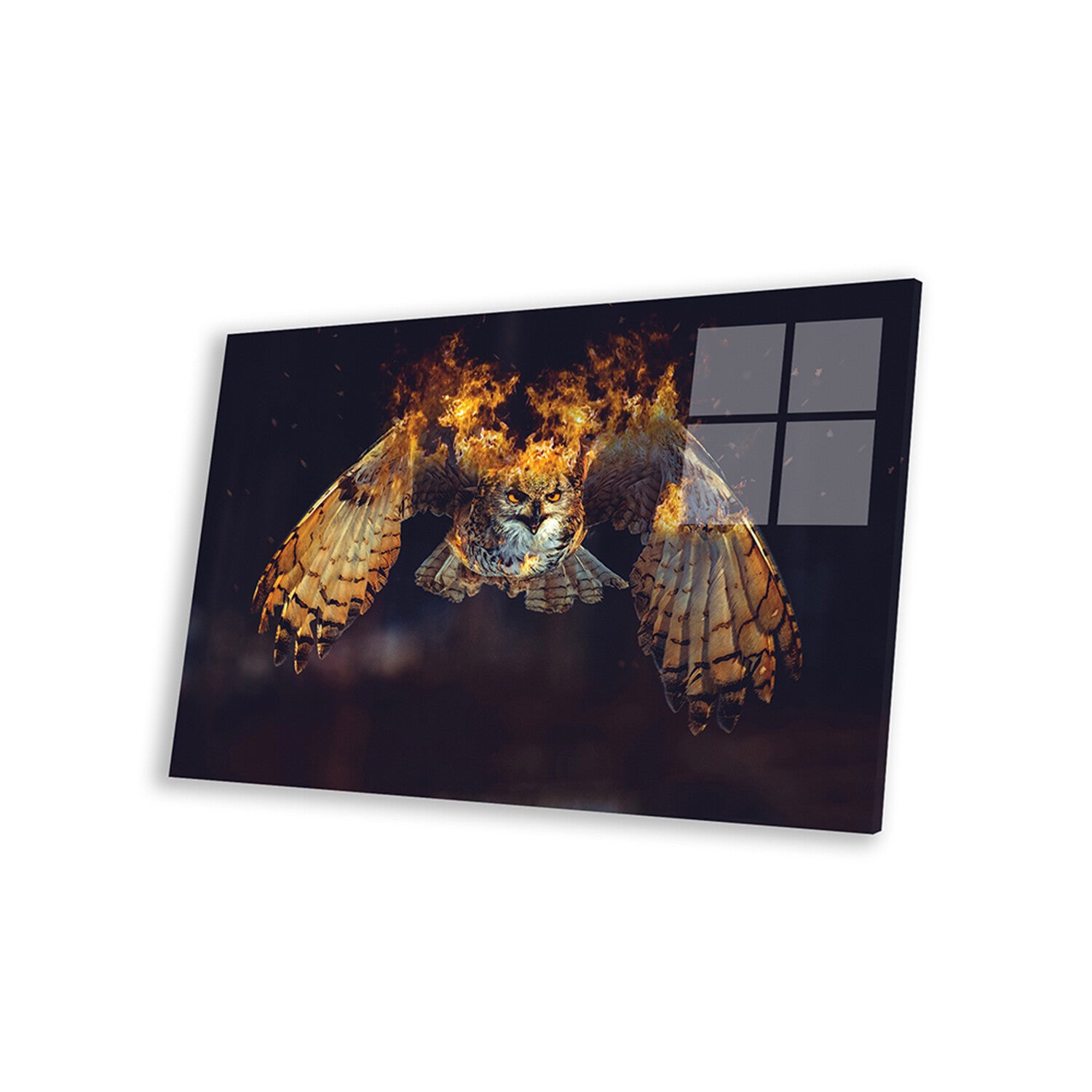 Owl On Fire Print On Acrylic Glass by Paul Haag