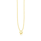 14k Yellow Gold Polished Star Necklace with Diamond