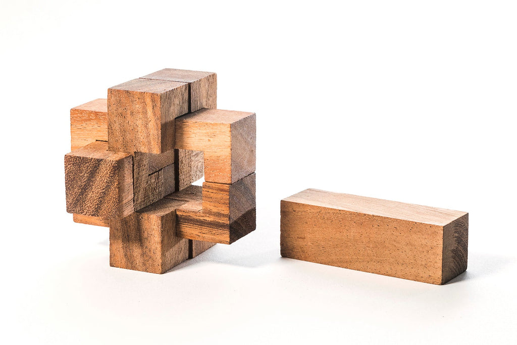 Burr Puzzle