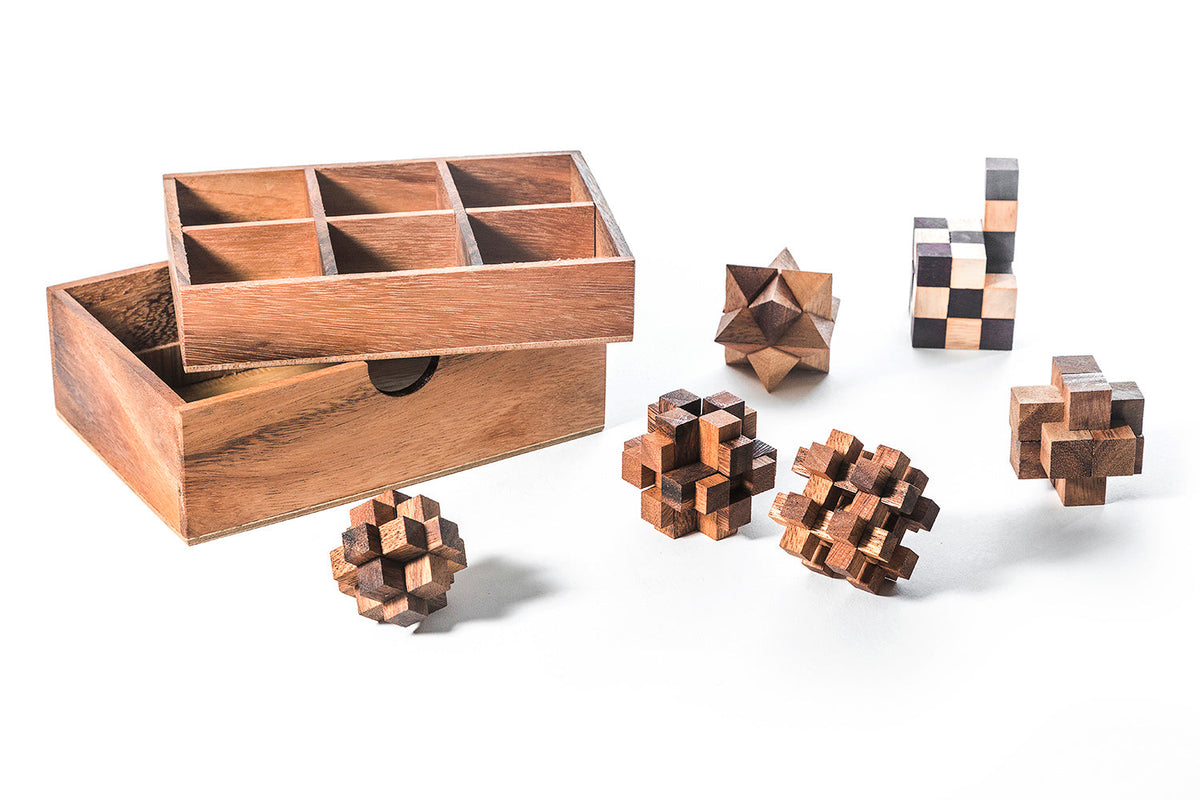 6 STEM Puzzle Gift Set - Wooden Puzzle Brain Teaser