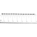 .925 Sterling Silver Black and White Diamond Tennis Bracelet (I-J Color, I2-I3 Clarity) - 7.25" Inches