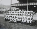 1948 New York Yankees 16X20 Photo Joe DiMaggio from Original Negatives 147172