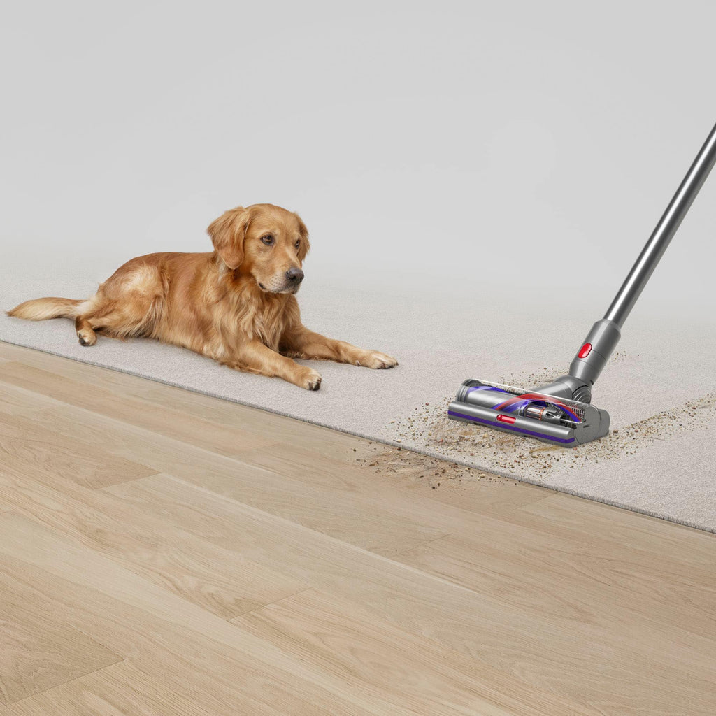Dyson V15 Detect Cordless Vacuum With 8 Accessories Yellow/Nickel (Certified Refurbished)