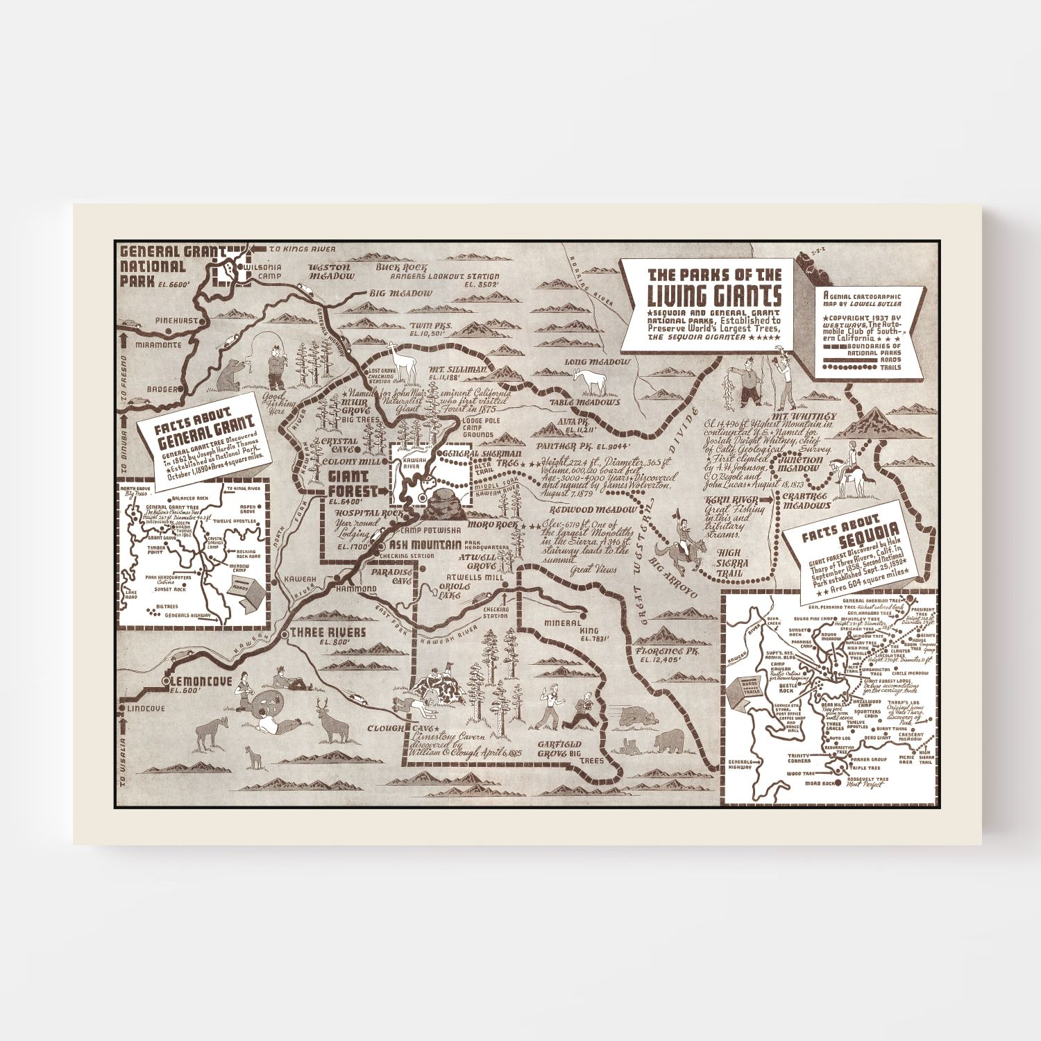 Vintage Map of Sequoia National Park & General Grant National Park 1937