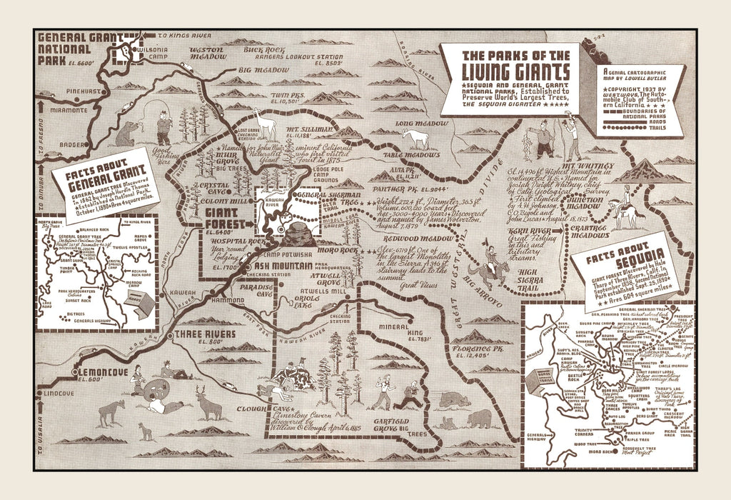 Vintage Map of Sequoia National Park & General Grant National Park 1937
