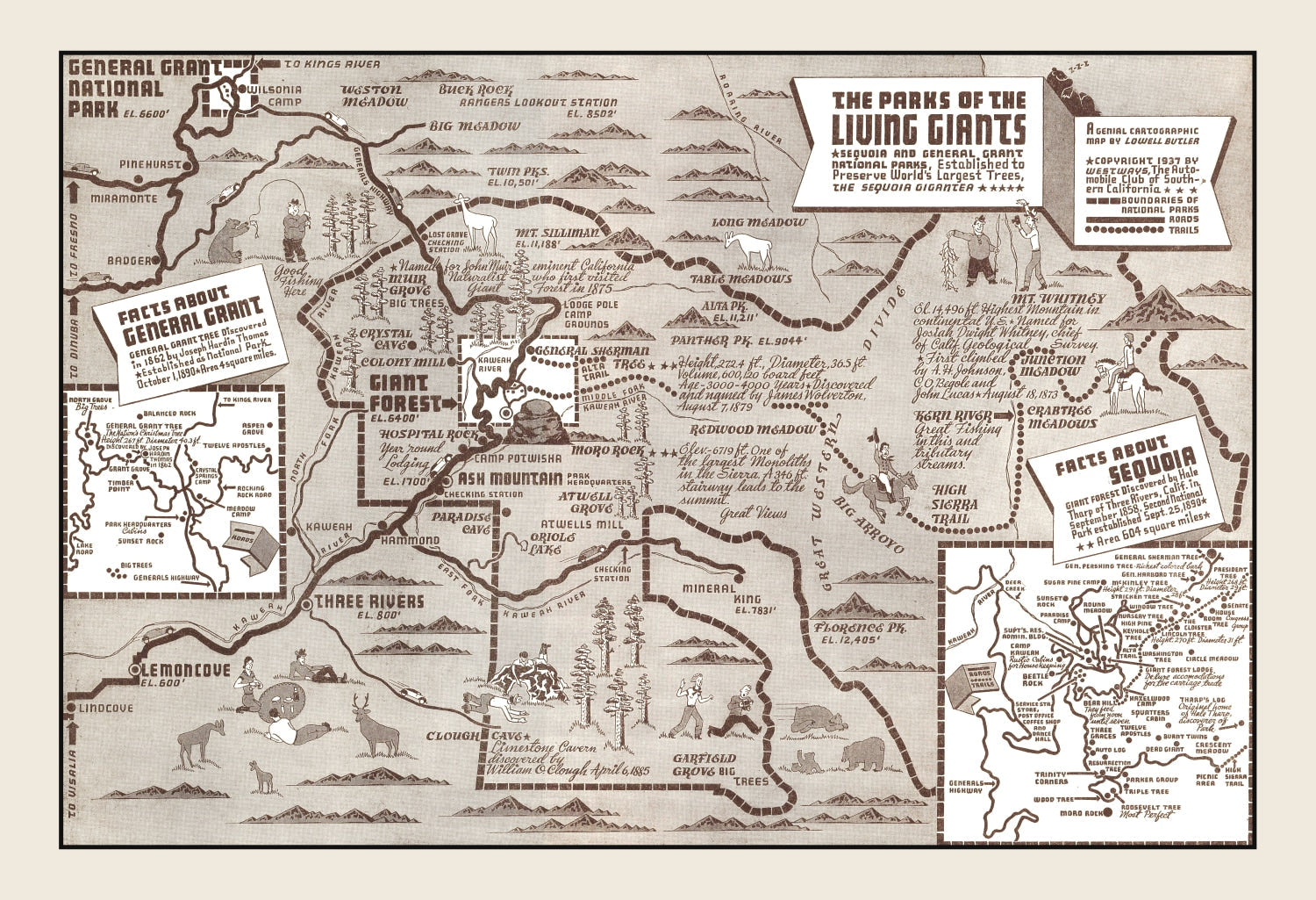 Vintage Map of Sequoia National Park & General Grant National Park 1937