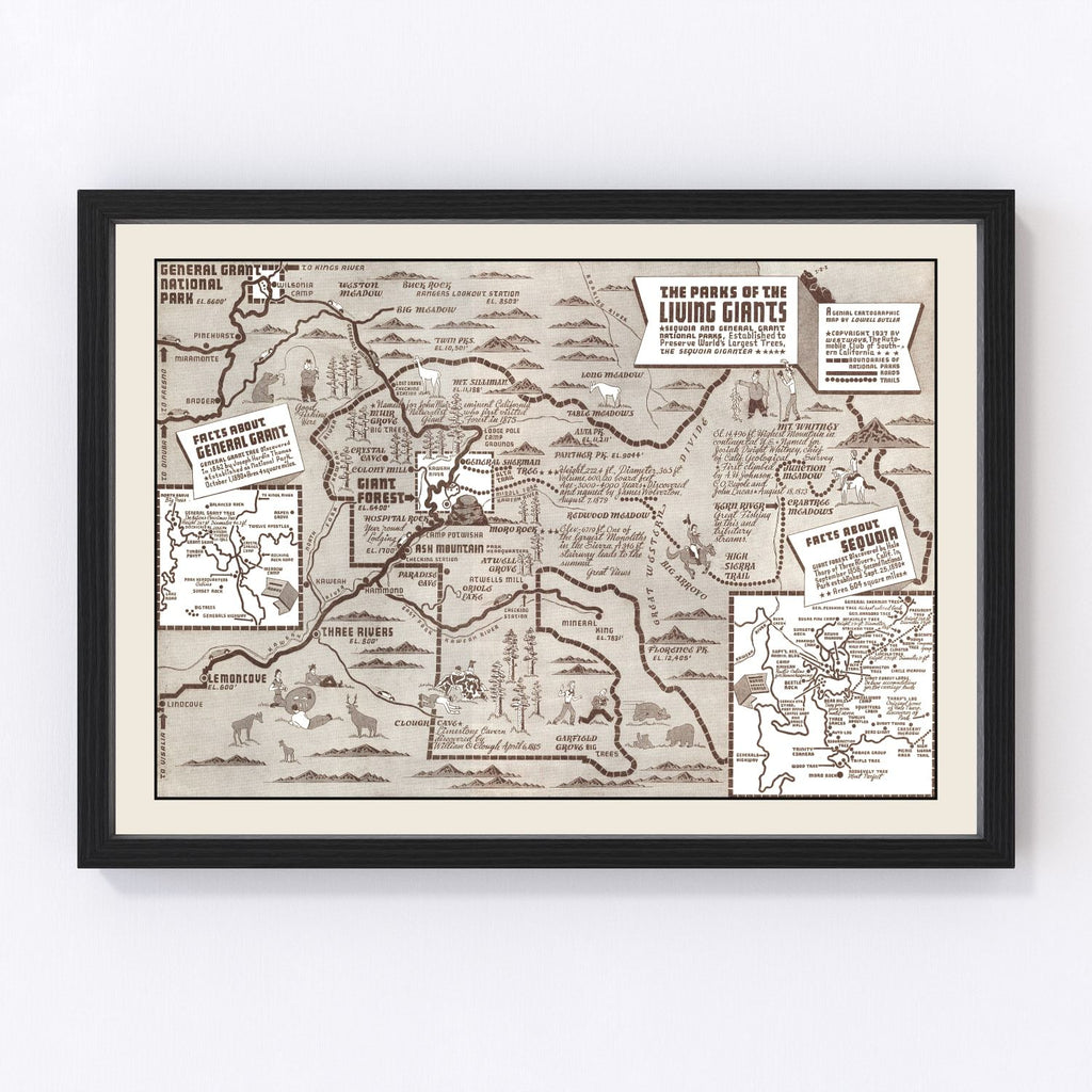 Vintage Map of Sequoia National Park & General Grant National Park 1937