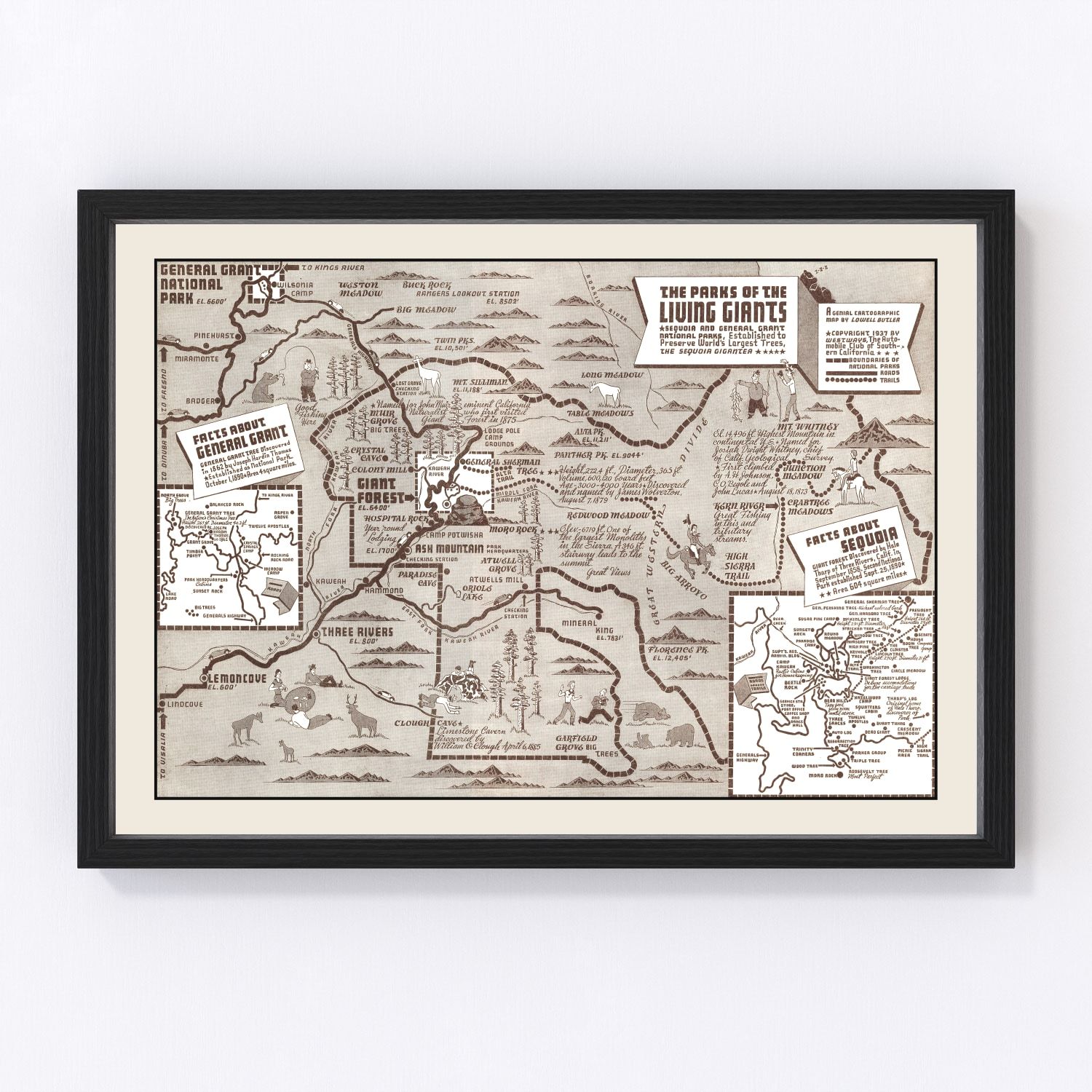 Vintage Map of Sequoia National Park & General Grant National Park 1937
