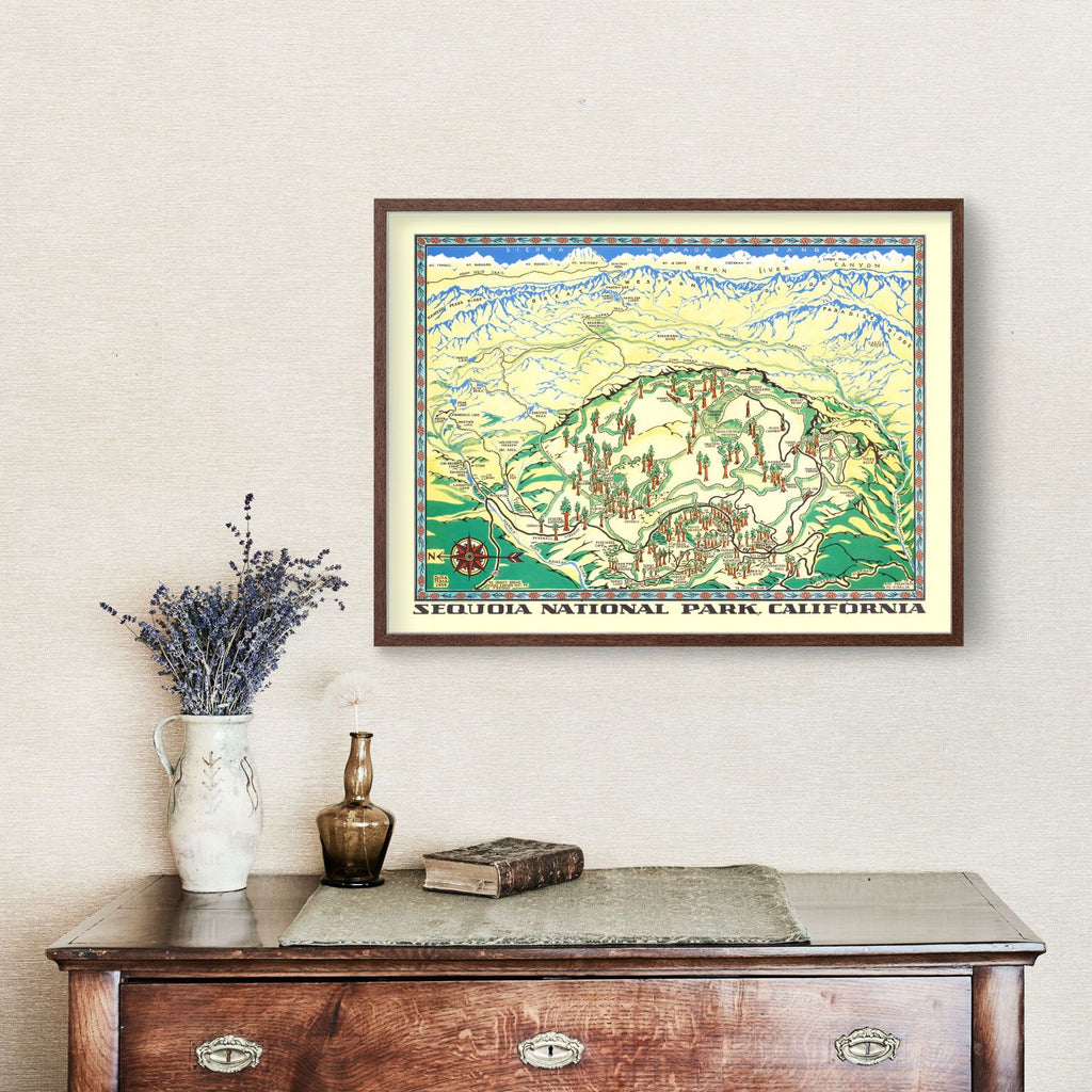 Vintage Map of Sequoia National Park 1954