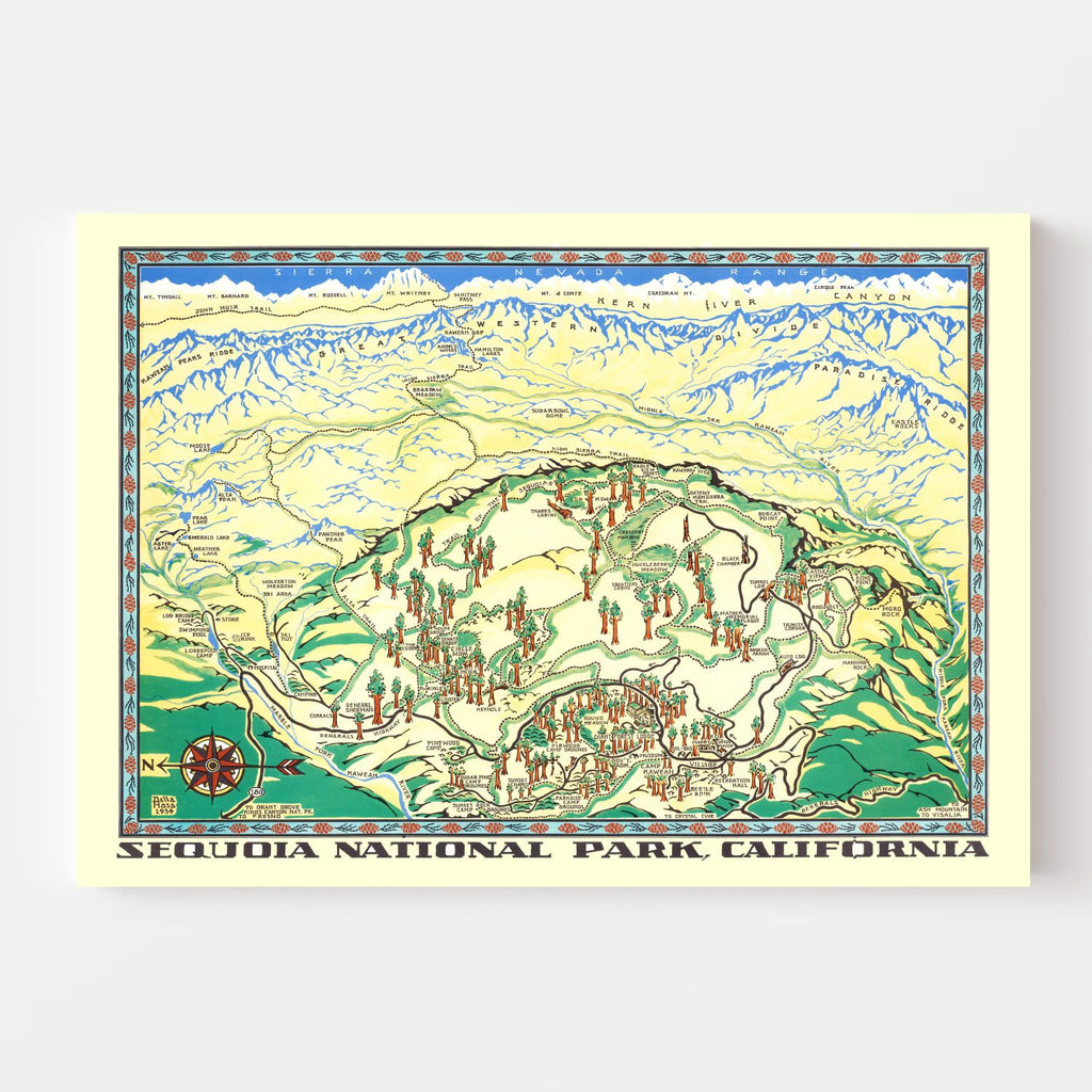 Vintage Map of Sequoia National Park 1954