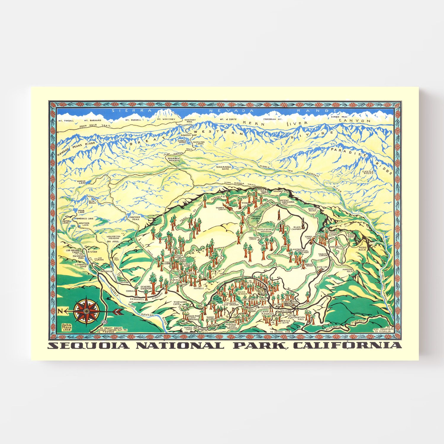 Vintage Map of Sequoia National Park 1954
