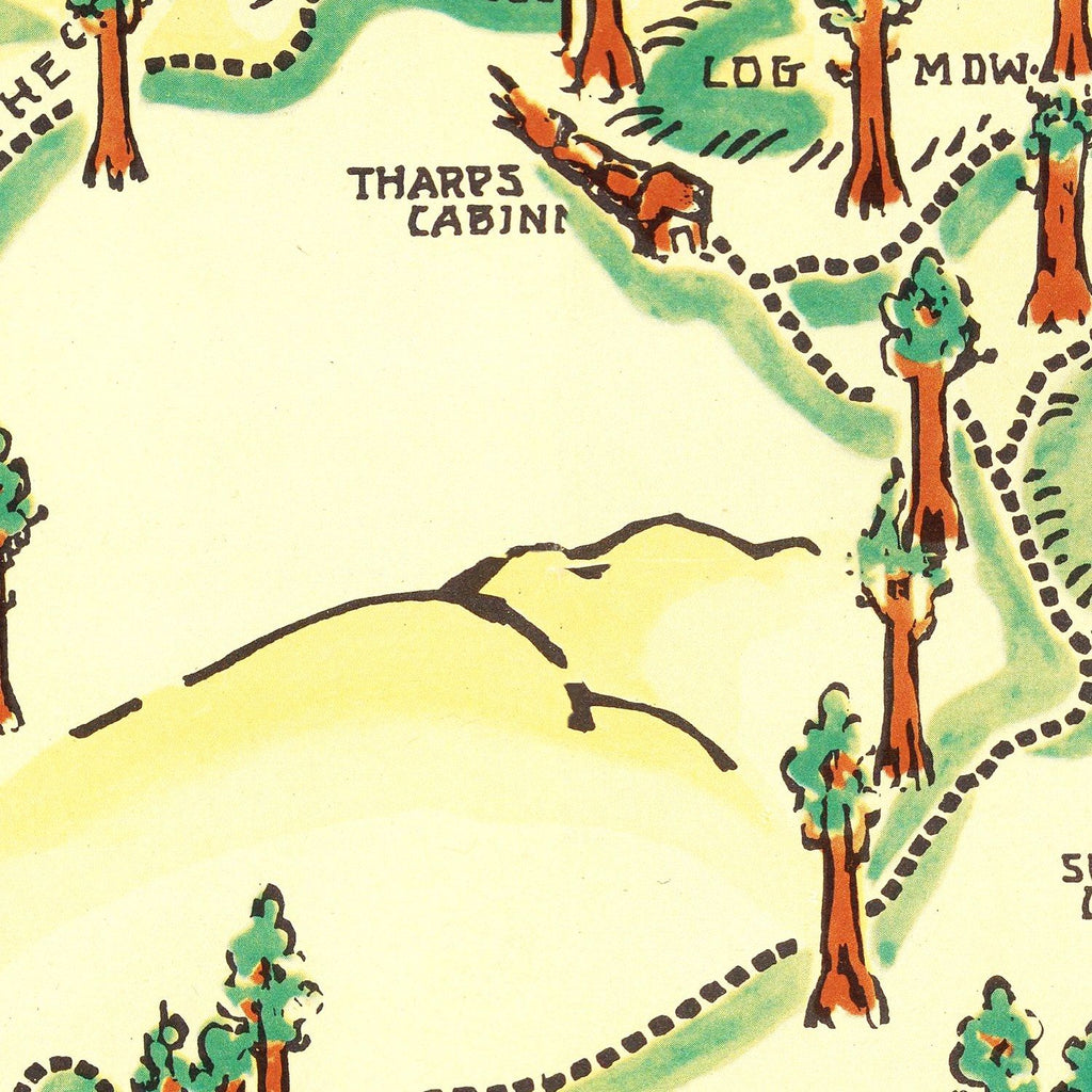 Vintage Map of Sequoia National Park 1954