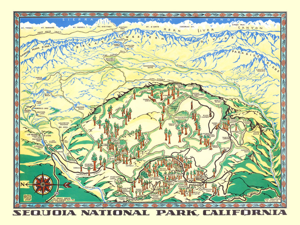 Vintage Map of Sequoia National Park 1954