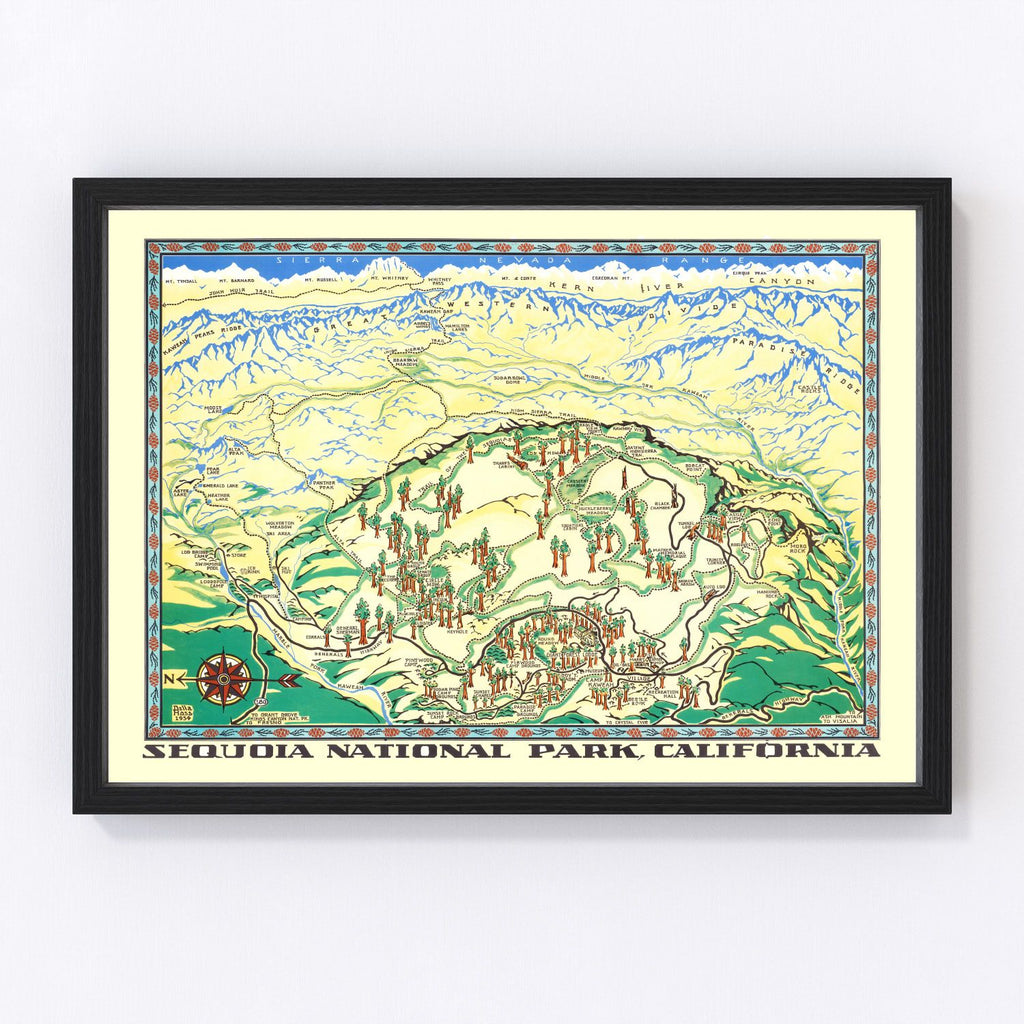 Vintage Map of Sequoia National Park 1954