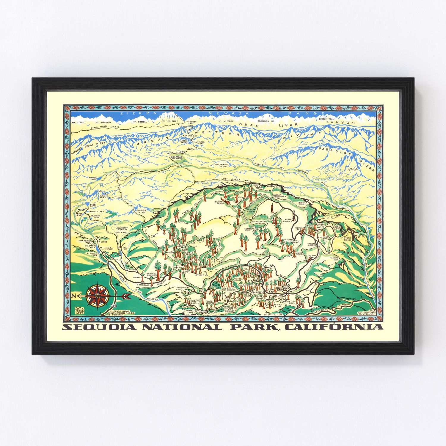 Vintage Map of Sequoia National Park 1954