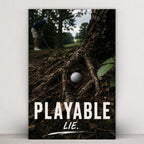 Playable Lie