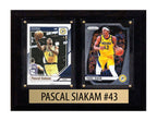 Pascal Siakam Indiana Pacers 2 Card Plaque 6x8 2024 2025 Hoops Donruss Panini