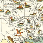 Vintage Map of Big Game Fish of America 1936