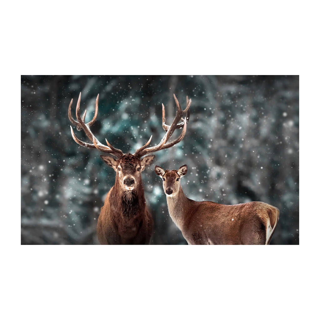 Staring Deers