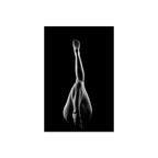 Nude Woman's Sexy Body V Print // Alessandro Della Torre