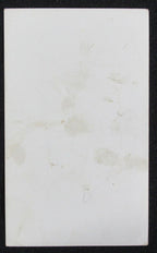 1936 National Chicle Baseball Fine Pen Premium R313 Carl Doyle Phila Athletics