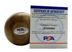 Steve Carlton HOF Autographed Adirondack Baseball Bat Phillies PSA/DNA 177797