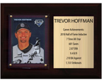 Trevor Hoffman San Diego Padres Hall of Fame Stats Plaque 6x8 1 Card Topps, Bowman 2024 2025 2026