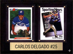 Carlos Delgado Toronto Blue Jays Fan Gift Plaque 6x8 2 Cards Topps, Bowman 2024 2025 2026