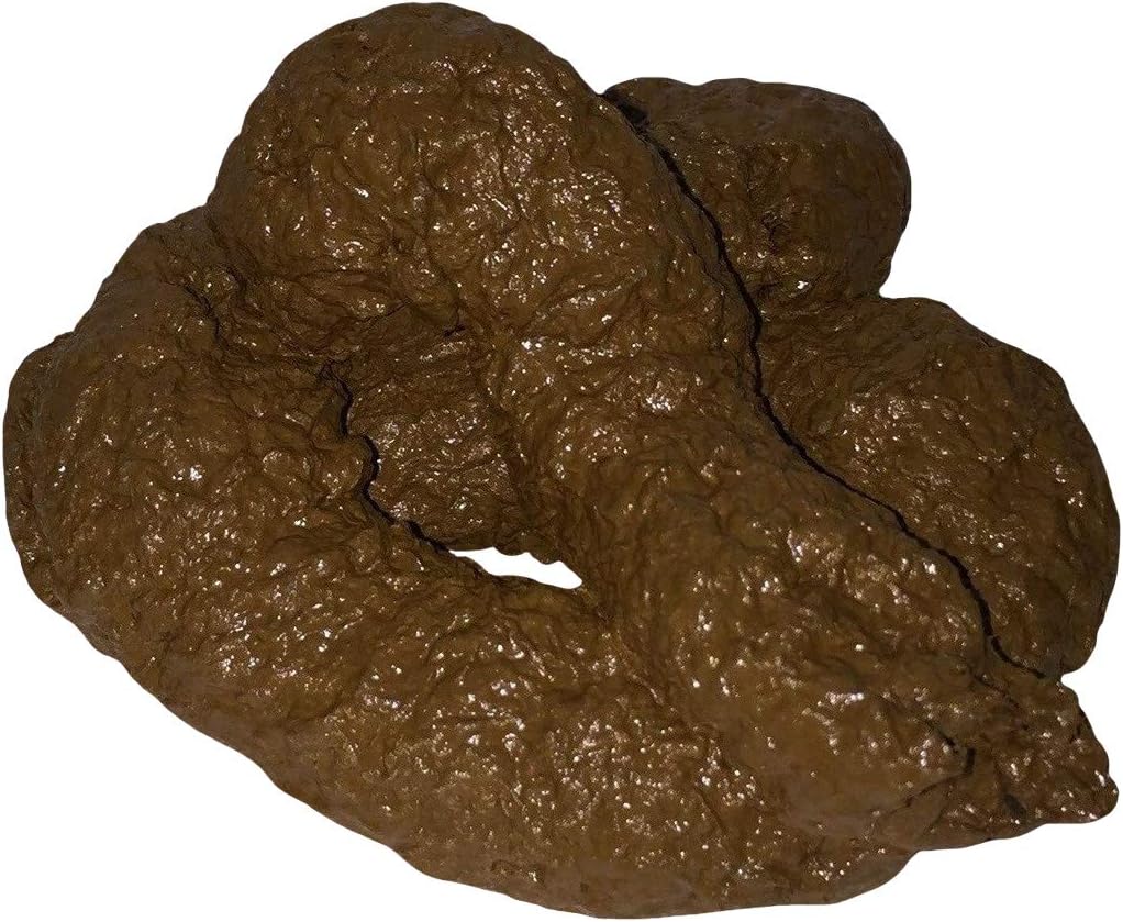 💩 Realistic Fake Dog Poop – Handmade Premium Gag Prank by Domagron