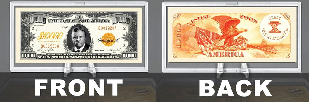 DELUXE Currency Slab Dollar Bill Plastic Case WITH STAND
