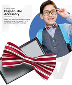 Vittorio Farina Boy's Design Satin Bow Tie