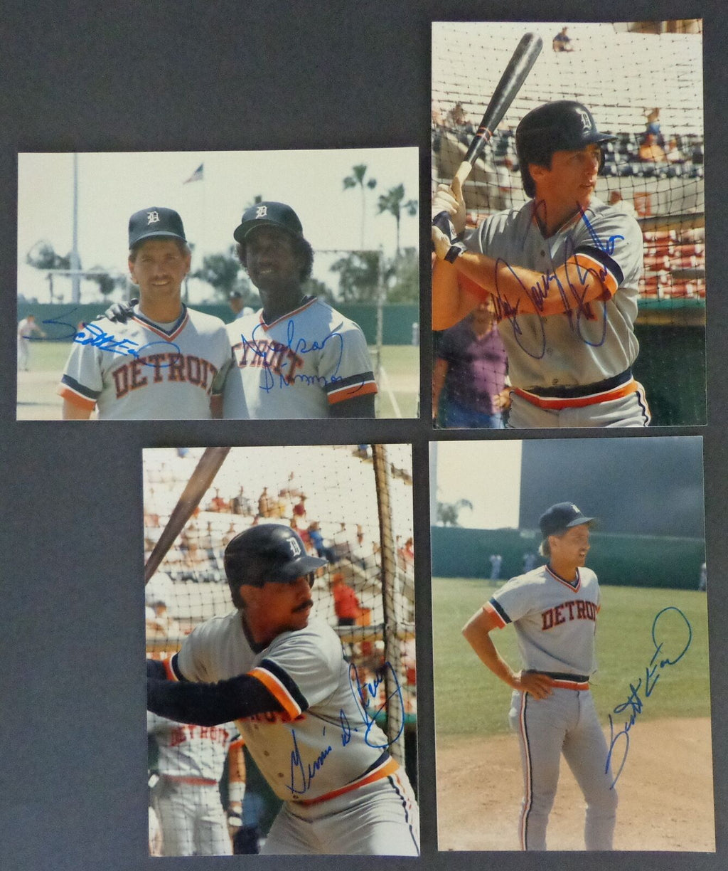 Lot of (12) Autographed 4x6 Snap Shot Photos Detroit Tigers 177115