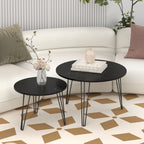 Round Nesting Coffee Table (Set of 2)