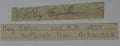 Kay Eakin Arkansas Razorbacks/New York Giants Signed Cut  PSA/DNA 145107