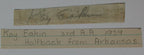 Kay Eakin Arkansas Razorbacks/New York Giants Signed Cut  PSA/DNA 145107